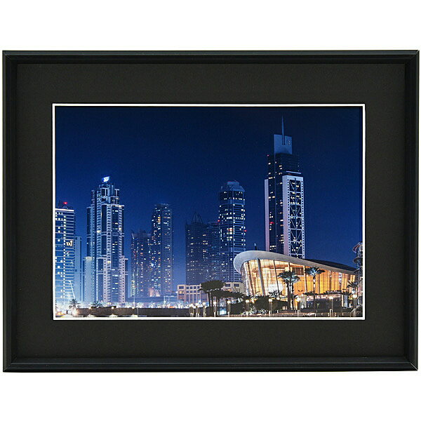 浅沼商会 506819 FUJICOLOR アルミ額縁 A31 キャビネ 2L ブラック