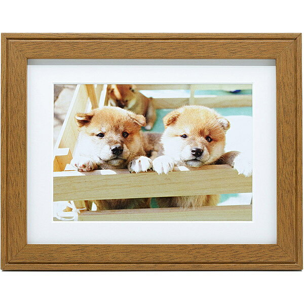 浅沼商会 407727 FUJICOLOR 木製額縁 YM-9 全紙 ブラウン