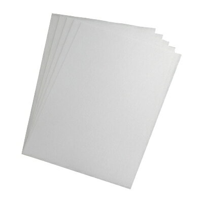 リコー FI-C100CP GMW616 クリーニングペーパー