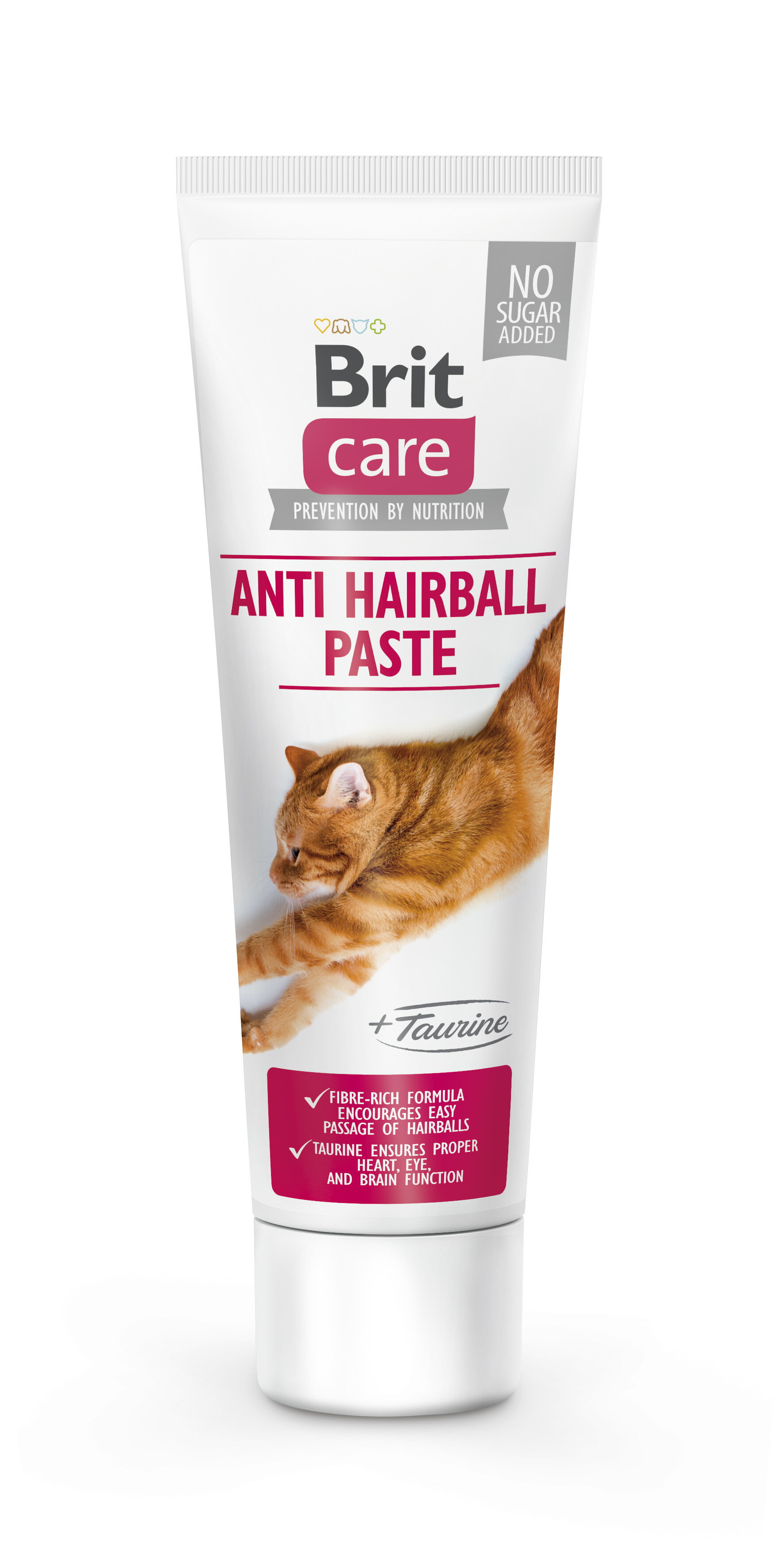 Brit ケア　キャット　ペースト　ヘアボールケア　100g　【ブリットケア　猫】○