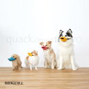 OPPO quack closed S【オッポ クァッククローズド】○