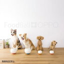 OPPO FoodBall Regular【オッポ フードボール レギュラー】○