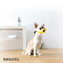 OPPO quack SS【オッポ クァック】○