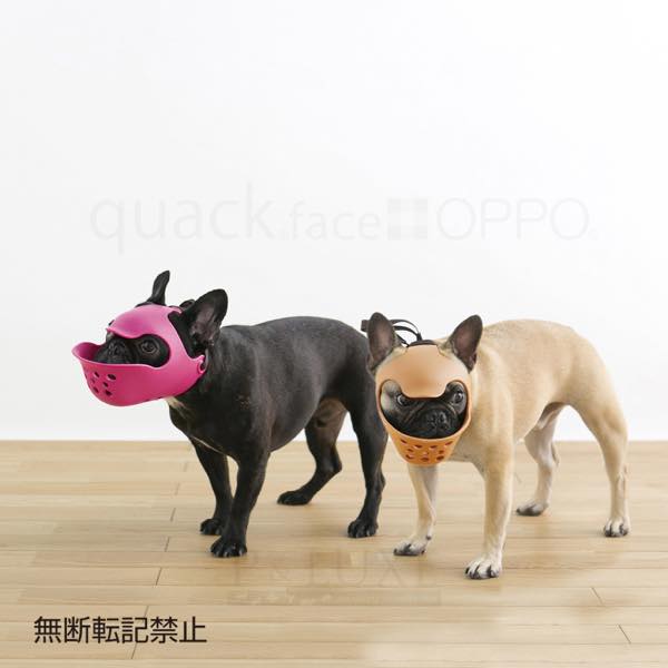 OPPO quack face Lڥåݡåե[