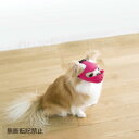 OPPO quack face S【オッポ クァックフェイス】○
