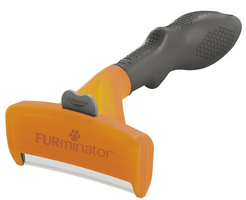եߥ͡緿ѡLĹӼѡFURminatorʡۡ