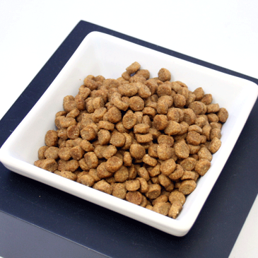 アーテミス アガリクス イミューンサポート I/S 小粒 1.0kg 【Artemis ドッグフード】【あす楽】 ○