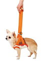 PETIO 老犬介護用 歩行補助ハーネス 前足用 S ○