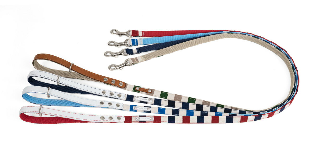 Toto & Pal リボーンボーダーリード 10mm 【トトパル トトアンドパル】○