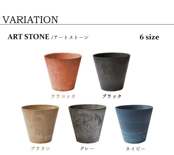 イチジクの剪定の仕方 剪定の時期やタイミング 仕立ての方法をご紹介 暮らし の