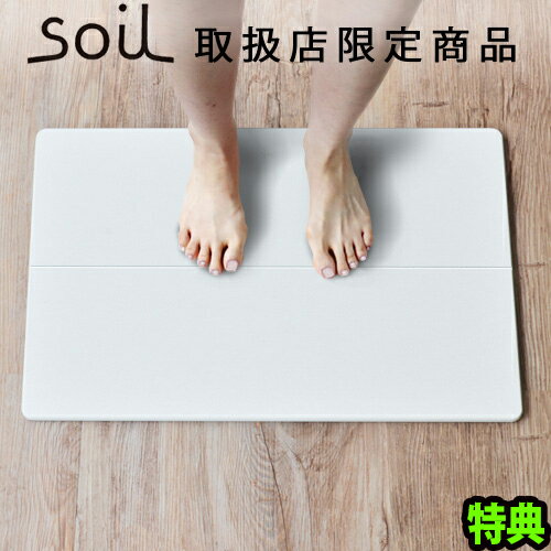 soil 　珪藻土　 【SS期間中★確率1/2で最大100％Pバック】 【特典付】 送料無料 soil バスマット ソイル gem バスマット 珪藻土バスマット ポイント2倍soil GEM ひる石バスマット [ Standardサイズ ]足ふきマット 珪藻土 日本製 限定 速乾 吸収 さらさら