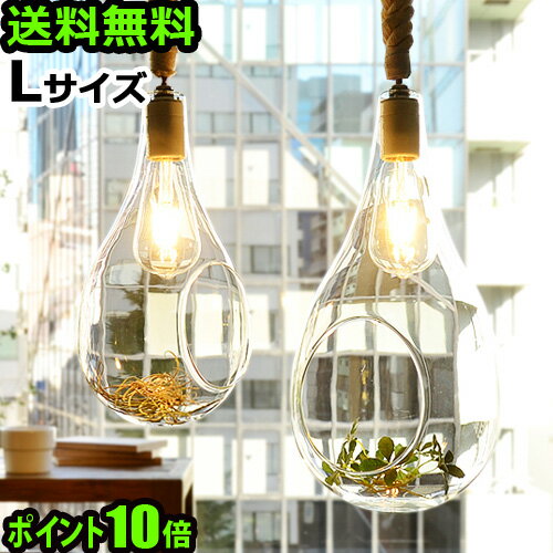 送料無料 ペンダントライト ガラス LED【あす楽14時まで】P10倍ボタニック ハンギングライト LサイズBOTANIC Hanging light[APE-020/L]【smtb-F】グリーン 植物 テラリウム ディスプレイ エアプランツ◇おしゃれ インテリア 結婚祝い 照明 照明器具