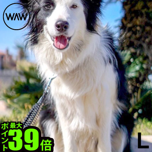 リード 犬 おしゃれ ペット 散歩 ドッグリードワウ アンチ・ショック Lサイズ WAW ANTI SHOCK 小型犬 超小型犬 スタイリッシュ スマート 犬用 おでかけ ペットグッズ 丈夫 犬用品◇ギフト プレゼント 1