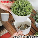 植木鉢 おしゃれ シークレットケース 隠し収納サックユーケープラント ポット ハイダウェイsuck uk Plant Pot Hideaway 合鍵 貯金箱 インテリア おもしろ雑貨 セラミック ギフト プレゼント◇