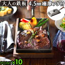 送料無料 鉄板 蓋 鉄板焼き アウトドア プレート フライパン 鉄 P10倍 大人の鉄板 鉄板小 蓋付き [OTS8100]ステーキ皿 IH対応 ステーキ用フライパン 卵焼き器 日本製 角型 四角◇おしゃれ シンプル キッチン バーベキュー パーティー キャンプ