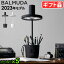 ֡ŹĹݾͭ Хߥ塼 饤 BALMUDA The Light L03A2023ǯȯǥ ǥ饤 ؽ ܤͥ  ؽˤ Ҷ ɥ饤 led  ֥롼饤ȥå Хߥ塼 ڥΩ ץ쥼 եȡP5 ̵פ򸫤