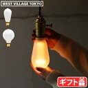 電球 e26 led led電球 エジソン球 調光機能対応NOSTALGIA LED BULB GLOBEフロスト / LONGフロスト EDISON BULB エジソンバルブ長寿命 エコ 省エネ 節電 LEDバルブ レトロ モダン おしゃれ 調光◇ビンテージ 裸電球 乳白色 マット