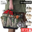 トートバッグ キャンバス 大きめ ポケット たくさんC＆C.P.H. EQUIPEMENT TOOL BAG CEV2002 送料無料 レディース メンズ ツールバッグ トート キャンバスバッグ 全面ポケット アウトドア 8号帆…