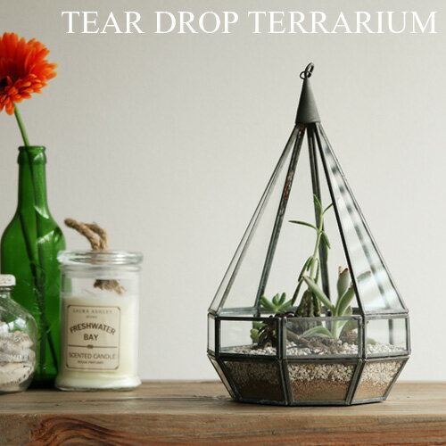 ショーケース ディスプレイケース 【あす楽14時まで】ティアドロップ テラリウム Sサイズ Tear Drop Terrarium “S” 植物 ガラス グリーン ガーデニング インテリア ケース ガラスケース◇プランター アンティーク プレゼント デザイン plywood