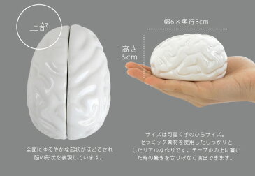 【あす楽14時まで】 Propaganda BRAIN SALT＆PEPPER ブレイン ソルトアンドペッパー [ 塩 コショウ 入れ セット ] 塩コショウ 入れ 塩 こしょう 入れ ソルト＆ペッパー ユニーク 雑貨◇デザイン plywood オシャレ雑貨