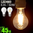 LED LED電球 電球 LED FILAMENT BULB NL-LEDA 60WLEDフィラメント電球 電球色 長寿命 エコ 省エネ 節電 フィラメント レトロ おしゃれ ビンテージ 裸電球 カフェ風◇インテリア