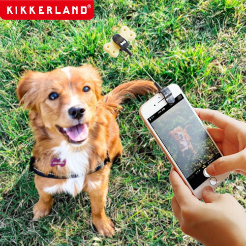 スマホ 犬用グッズ 犬 イヌ ペット おもしろ雑貨キッカーランド ドッグ トリート セルフィー クリップKIKKERLAND DOG TREAT SELFIE CLIP KDIG01 ネコポスOK 写真 カメラ◇カメラ目線 スマートフォン スマホクリップ おやつ おもちゃのサムネイル