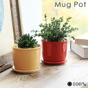 植木鉢 おしゃれ 室内 観葉植物 植物 鉢植え 鉢マグ ポット MUG POT 100percent 3号 受け皿付き 花 美濃焼 磁器 焼き物 かわいい シンプル 園芸用品 インテリア 小物 雑貨 赤 黄◇レッド イエロー