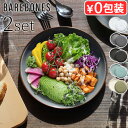 プレート 食器 おしゃれ 琺瑯 スチールベアボーンズ エナメル8インチサラダプレート 2枚セット Barebones Living ホーロー 割れにくい キャン...