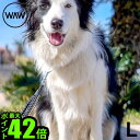 リード 犬 おしゃれ ペット 散歩 ドッグリードワウ アンチ・ショック Lサイズ WAW ANTI SHOCK 小型犬 超小型犬 スタイリッシュ スマート 犬用 おでかけ ペットグッズ 丈夫 犬用品◇ギフト プレゼント