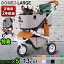 ֡ŵա  Х ڥå DOME3  3  İAIRBUGGY ɡ3 [顼å]¿Ƭ  淿 20kg ǭ  ǭ ޤꤿ  ɥå Х ڥåȥ꡼ڥåȥϥ ɡ෿̵ P5ܡפ򸫤