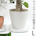 植木鉢トレー キャスターティディ プランタブル L tidy Plantable Lおしゃれ シンプル 観葉植物 鉢置台 デザイン雑貨 オフィス 玄関 ギフト 贈り物 引越し ファミリー 新生活 軽量 日本製 植木鉢置き 台車◇プランタースタンド 送料無料 P5倍