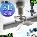 【特典付】シーリングファン おしゃれ 左右上下 真下 黒 白BRID 3D CEILING FAN扇風機 3D首振り 立体送風 自動スイング ブリッド リモコン...