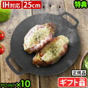 【特典付】正規品 メーカー保証有 JHQ 鉄板マルチグリドル 25cm オプション付 SM1109ESグリドル 鉄板 ディープ アウトドア 専用ケースセット プ...