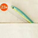 ボールペン（1000円程度） フィッシュペン ボールペン 面白ろ雑貨 ネコポスOK FISH PEN FIIIIISH Capsプレゼント ギフト 贈り物 誕生日 女性 男性 おもしろ雑貨 ペン 筆記用具 文房具◇デザイン plywood オシャレ雑貨