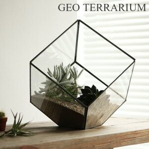 ショーケース ディスプレイケース 【あす楽14時まで】ジオ テラリウム Sサイズ Geo Terrarium “S” 植物 ガラス グリーン ガーデニング インテリア ケース ガラスケース◇プランター アンティーク プレゼント 父の日 ギフト plywood デザイン オシャレ雑貨