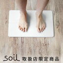 送料無料 soil バスマット ソイル gem バスマット 珪藻土バスマットポイント2倍soil GEM ひる石バスマット [ Sサイズ ]足ふきマット 珪藻土 日本製 限定 速乾 吸収 さらさら◇おしゃれ お風呂 バスグッズ お風呂マットオシャレ F