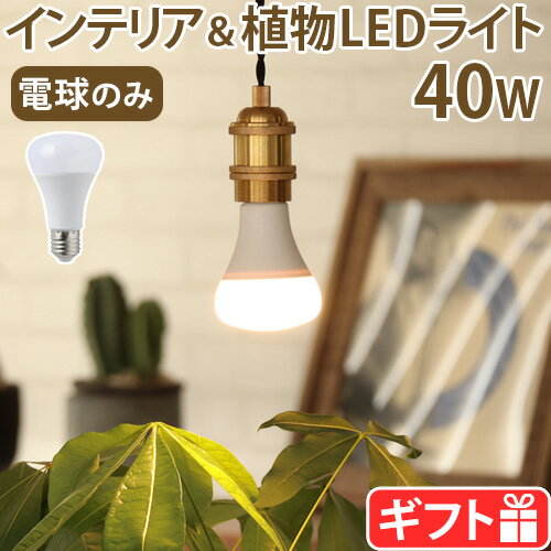 【選べる特典付】 植物用ライト 電球 e26 led led電球 植物 光合成プランツ ライト BRID PLANTS LIGHT 40 [WARM / COOL] 003379 003381LEDライト 太陽光 室内栽培 屋内用 観葉植物 野菜 間接照明 メイン照明◇ハーブ 送料無料 P10倍 F