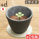 【選べる特典付】コーヒードリッパー ペーパーレス コーヒーフィルター おしゃれ+d キノメ セラミックコーヒーフィルター Lサイズ DA-1321Kinome ...