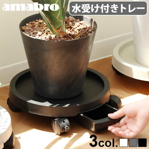 ȭ  ȭ  㥹դ ȭ楢ޥ֥ ץĥȥ졼 amabro PLANTS TRAY  ȥ쥤 ȭ տʪ ȭ ץ󥿡  ǥ˥ ץ  ƥꥢP2