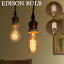 ־ ŵ   Х EDISON BULB [TubularSpiral/TubularSquirrel cage]ŷ ڥȥ饤 ܾ ե  ȥ  ץ쥼 £ʪ Fפ򸫤