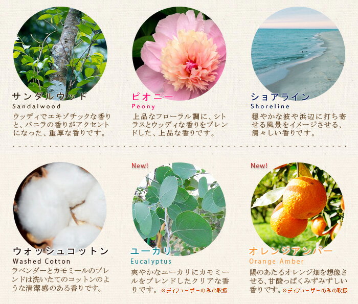 【あす楽14時まで】 k.hall designs Scent Diffusion ケイ・ホールデザインズ ディフューザー [ 236ml ] ディフューザー スティック 【楽ギフ_包装】【楽ギフ_メッセ】 (-)