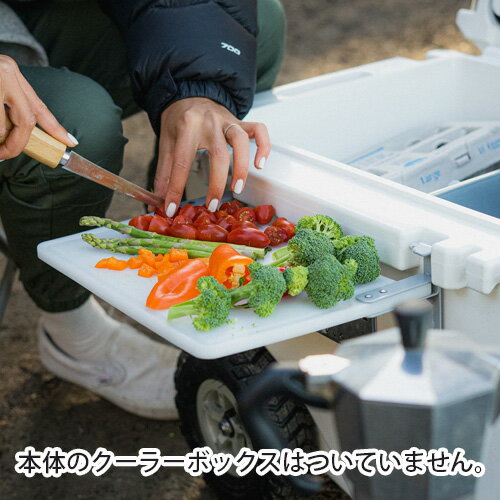 送料無料 まな板 テーブルローバー プロダクツ プレップボード【正規品★あす楽14時まで】ROVR PRODUCTS Prepping Board [APBT]釣り おしゃれ レジャー アウトドア キャンプ お花見 シンプル 部活 海 プール◇通販格安セール情報　楽天　通販