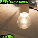 照明 おしゃれ ポイント10倍バルブ ライトキャップ ≪ベージュ≫ Bulb lightcap [ACE-160]シーリングライト 天井照明 照明器具 天井 電球 北欧 リビング シンプル インテリア 新生活 