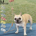 リード 犬 おしゃれ ペット 散歩 ドッグリードノット ドッグ リーシュ MサイズTOOLS FOR THE DOG KNOT Dog Leash 小型犬 中型...