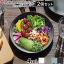 プレート 食器 おしゃれ 琺瑯 スチールベアボーンズ エナメル8インチサラダプレート 2枚セットBarebones Living ホーロー 割れにくい キャンプ アウトドア キャンプ用品 食器 グレー◇シック 耐食性 堅牢性 コーティング 食事 ギフト 贈り物