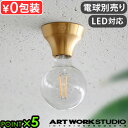 シーリングライト おしゃれ 天井 LED対応アートワークスタジオ アダム シーリングライト ARTWORKSTUDIO Adam-ceiling light 電...