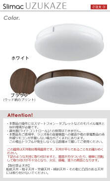 \豪華特典付/ シーリングファンライト 薄型 おしゃれ led 照明 軽量Slimac UZUKAZE 空気清浄機能付き うずかぜ【あす楽14時まで】P10倍 送料無料 リモコン付 サーキュレーター ◇羽なし 羽のない 天井照明 調光調色 空気循環 スマートスピーカー対応 新生活