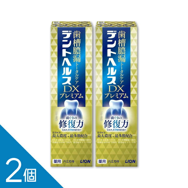 【2個】【最大濃度・最多数配合】『デントヘルス 薬用ハミガキDXプレミアム 90g』｜歯槽膿漏 歯磨き粉　知覚過敏