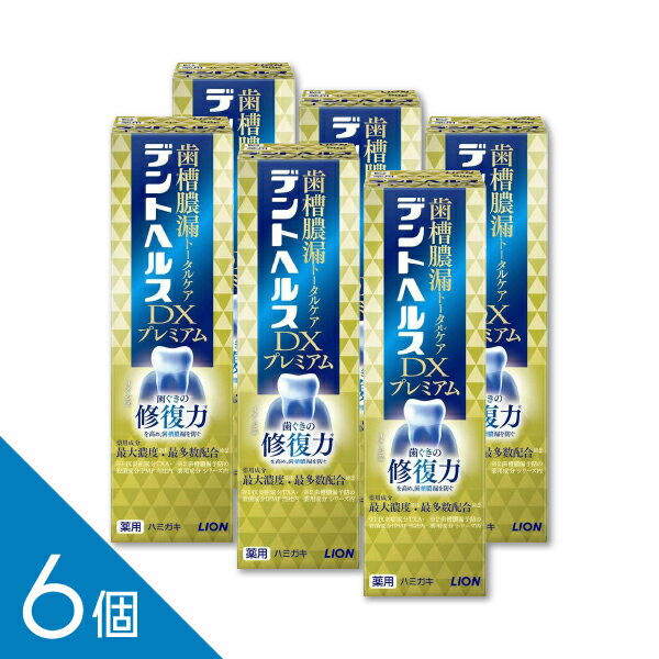 【6個】【最大濃度・最多数配合】『デントヘルス 薬用ハミガキDXプレミアム 90g』｜歯槽膿漏 歯磨き粉　知覚過敏