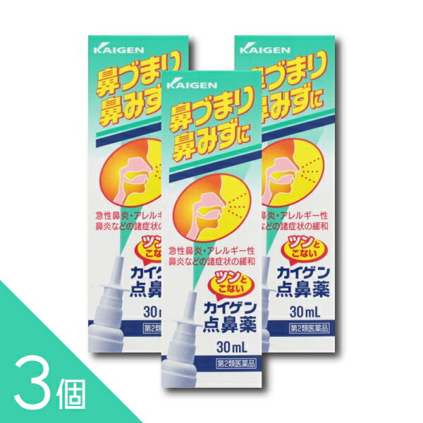 【3個】『カイゲン点鼻薬 30mL』｜鼻づまり 鼻みず 花粉症 ハウスダストに｜衛生的噴霧で即効スッキリ【第2類医薬品】